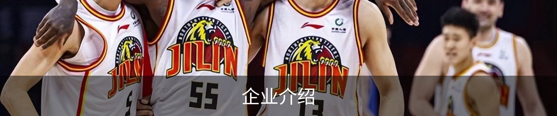 企业介绍